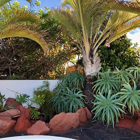 Villa Picasso - Private Pool, Bbq And Air-Con By Lanzarote Vacation Homes *