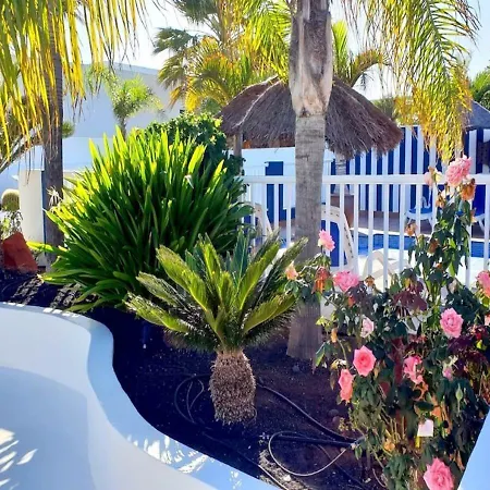 Villa Picasso - Private Pool, Bbq And Air-Con By Lanzarote Vacation Homes